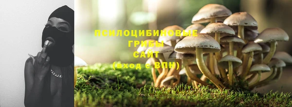 каннабис Богданович
